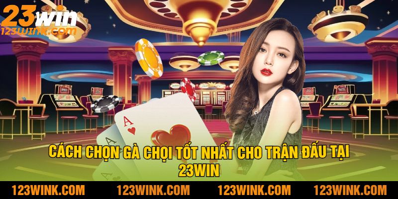 Cách Chọn Gà Chọi Tốt Nhất Cho Trận Đấu Tại 23Win