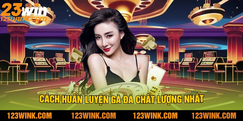 Cách Huấn Luyện Gà Đá Chất Lượng Nhất