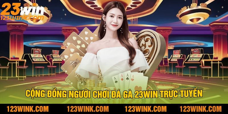 Cộng Đồng Người Chơi Đá Gà 23Win Trực Tuyến
