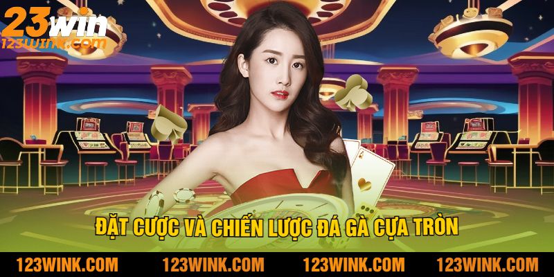 Đặt Cược Và Chiến Lược Đá Gà Cựa Tròn