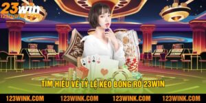 Tìm Hiểu Về Tỷ Lệ Kèo Bóng Rổ 23Win