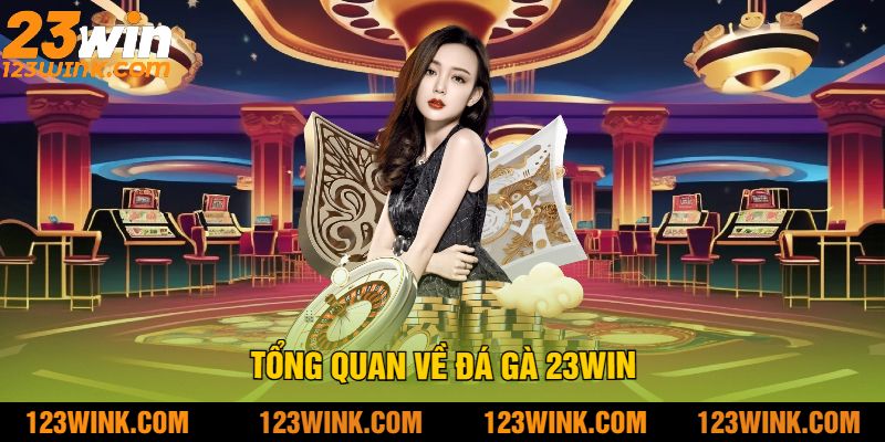 Tổng Quan Về Đá Gà 23Win