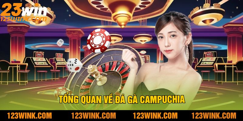 Tổng Quan Về Đá Gà Campuchia