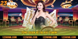 Tổng Quan Về Tài Xỉu 23Win