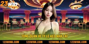 Tổng quan về tỷ lệ kèo nhà cái