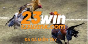 Đá gà miền Tây – Trực Tiếp Tại 23win
